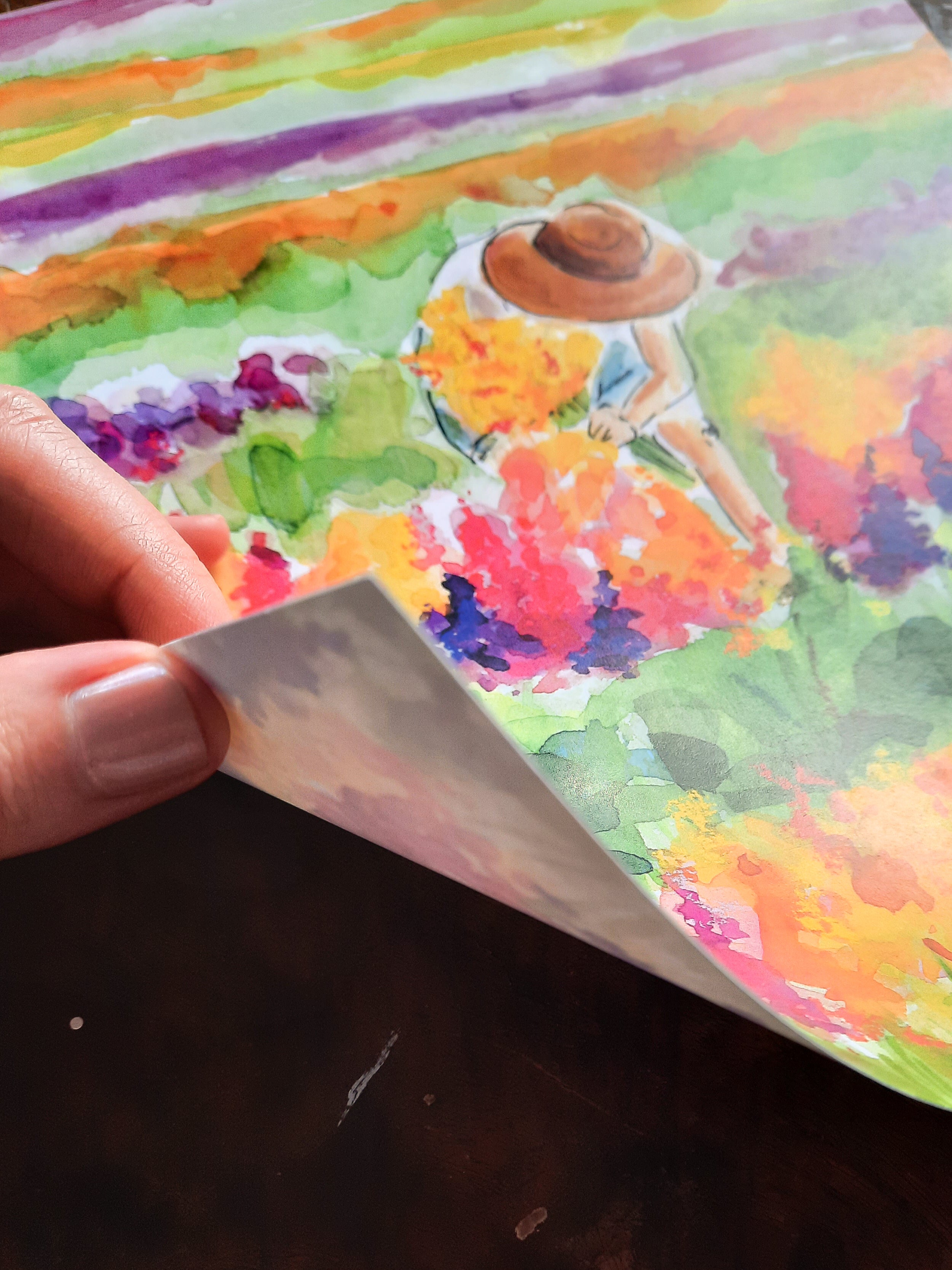 Rainbow Fields