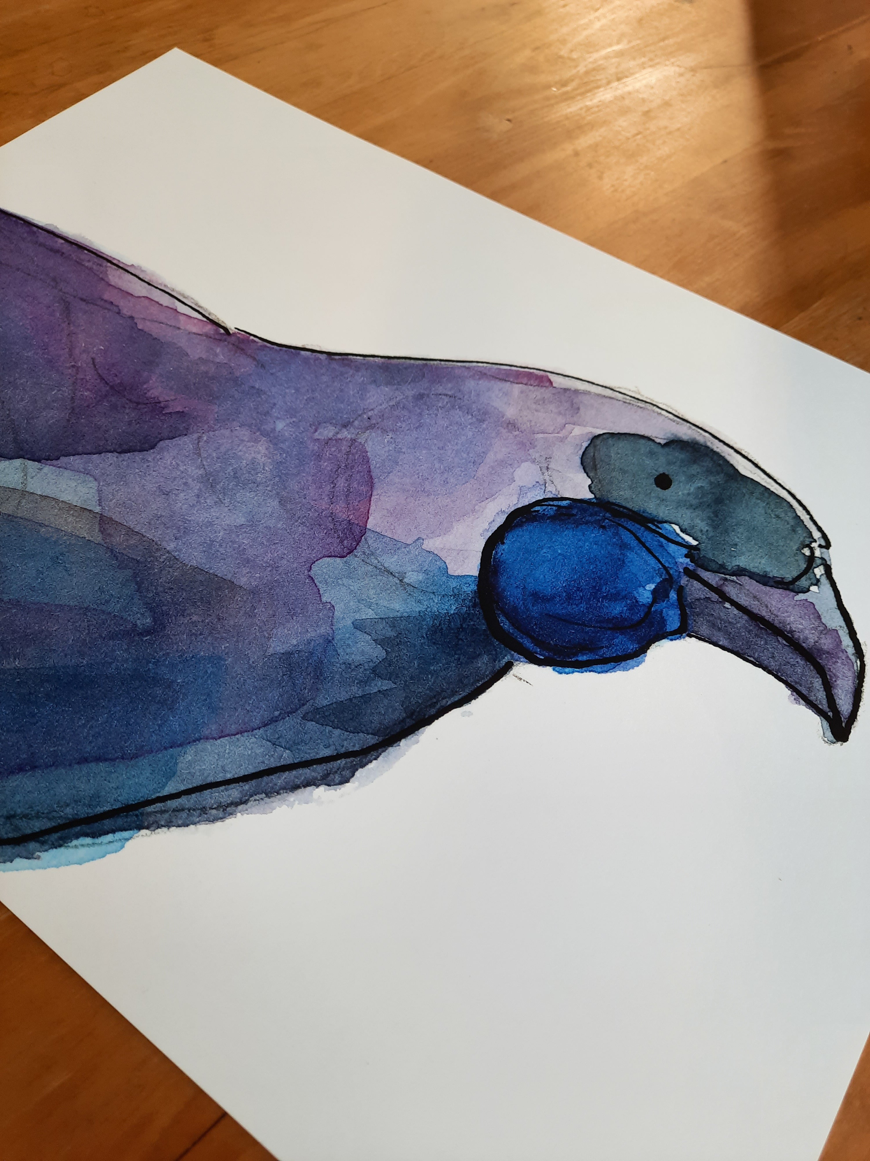 Kōkako