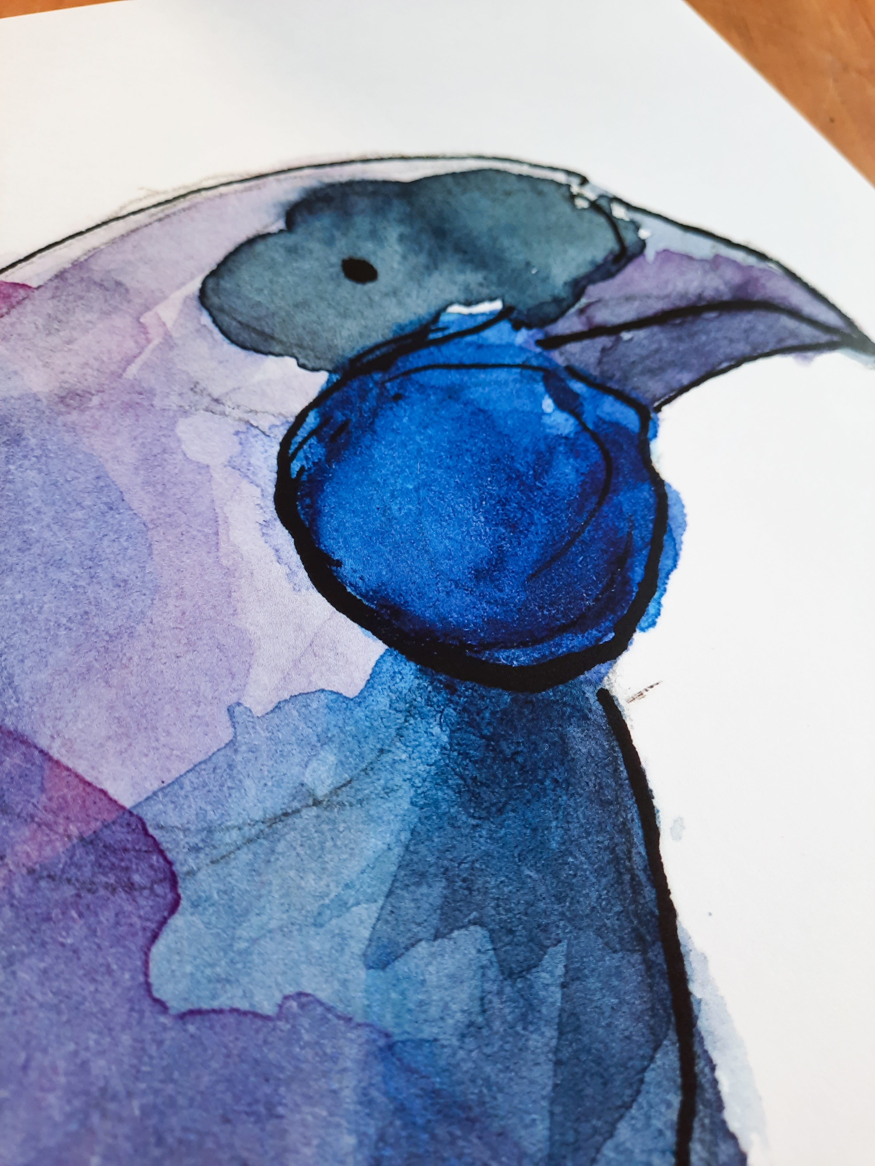 Kōkako
