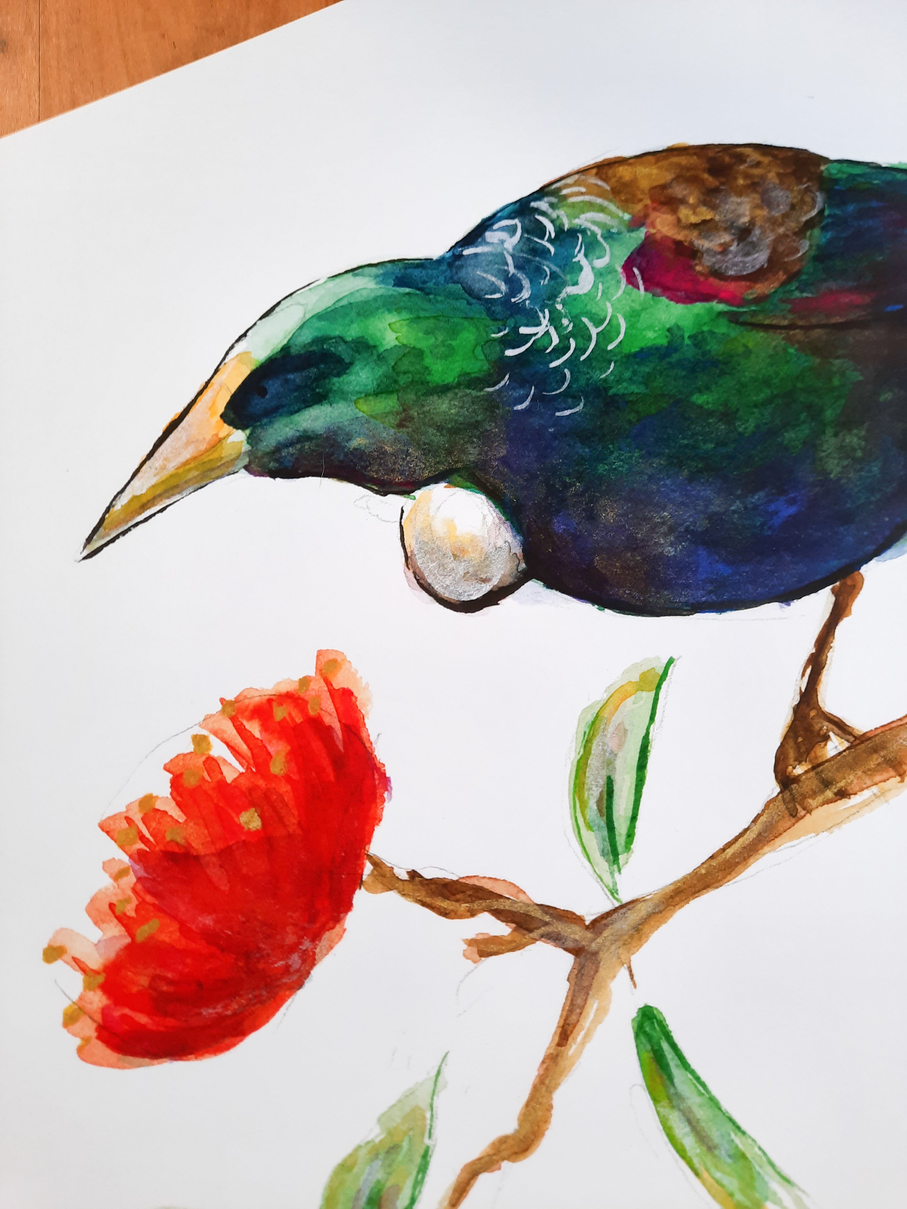 Tūī