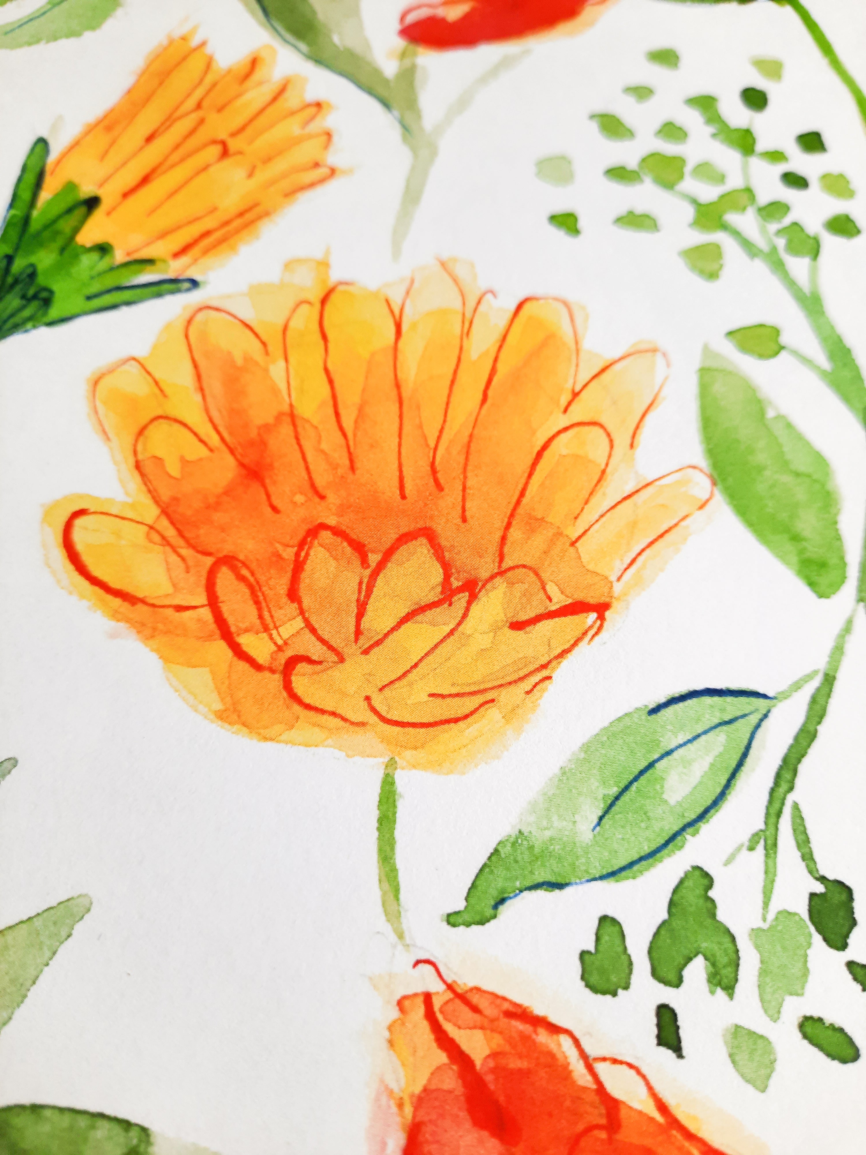 Spring Wildflowers