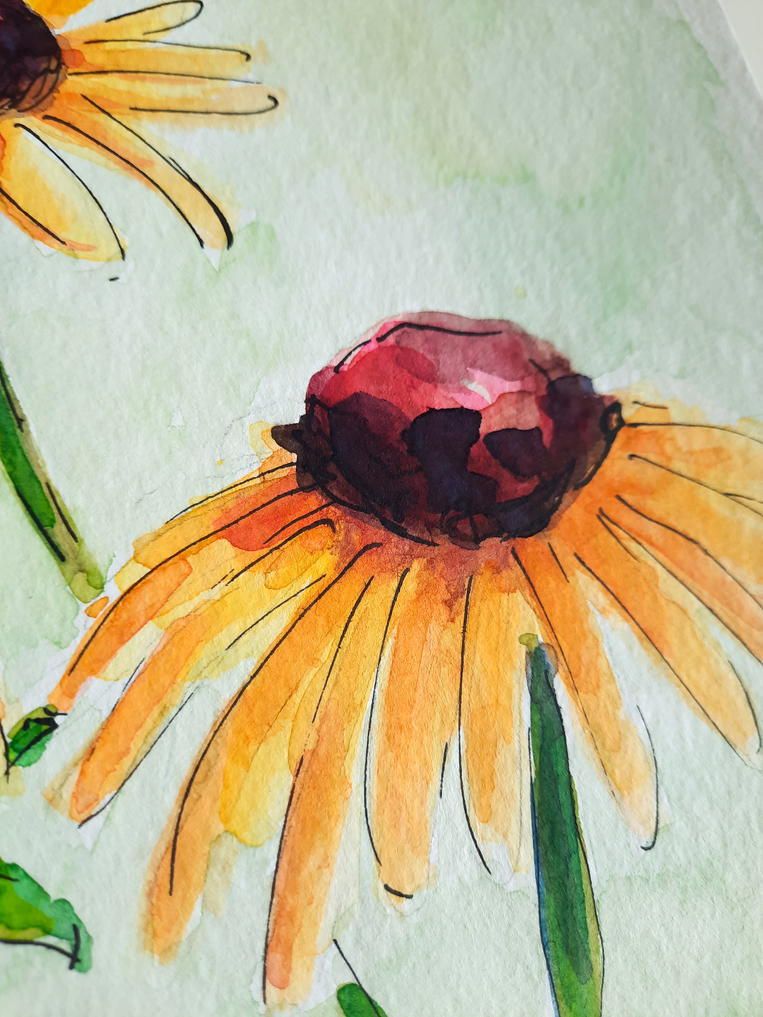 Flower Studies (set of 4) Original Paintings