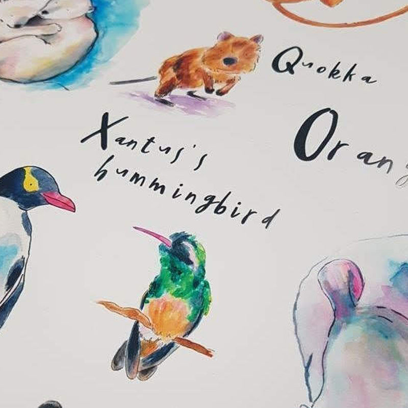 ABC of Animals - Raewyn Pope Illustration