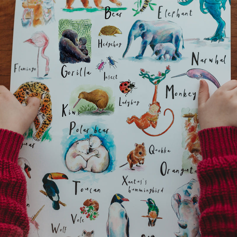 ABC of Animals - Raewyn Pope Illustration