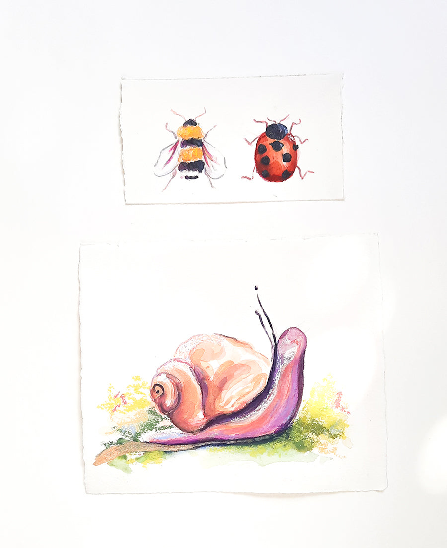 The Curious Snail // Original Painting
