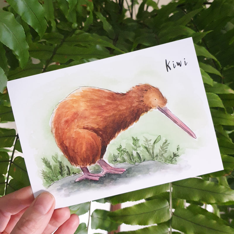 Kiwi - postcard - Raewyn Pope Illustration
