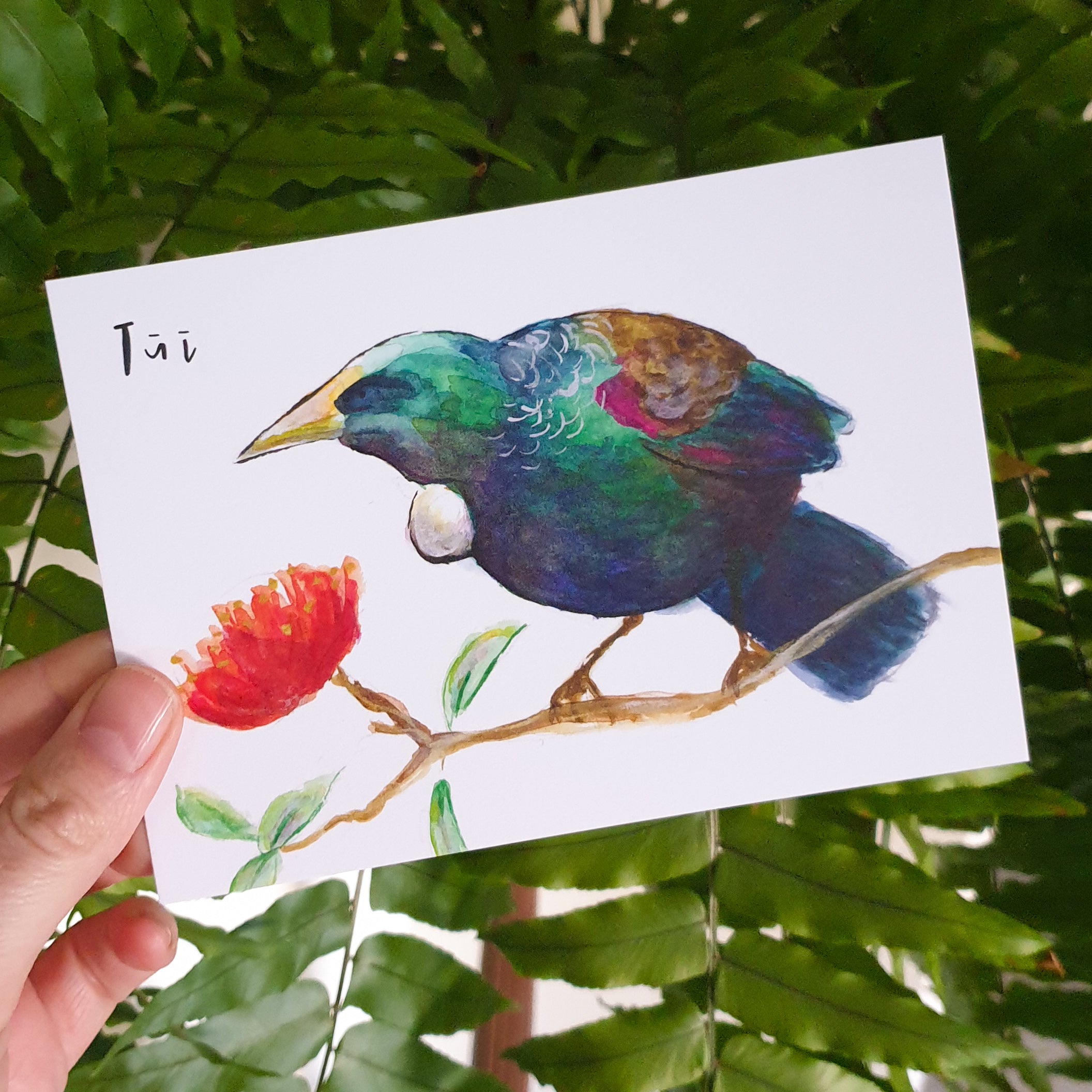 Tūī - postcard - Raewyn Pope Illustration