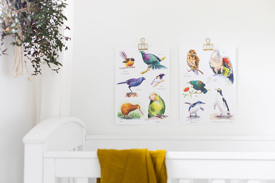 Birds of New Zealand #1