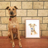 Pet Portraits - Raewyn Pope Illustration