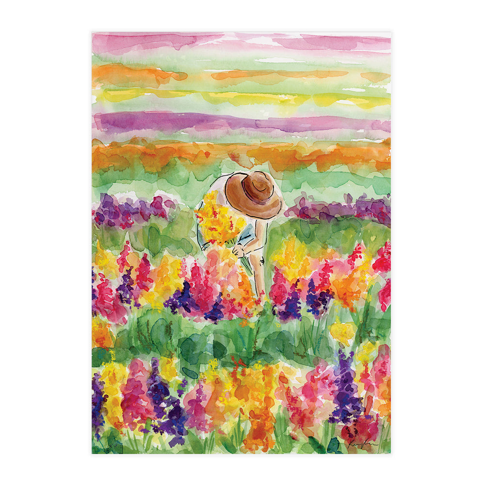Rainbow Fields