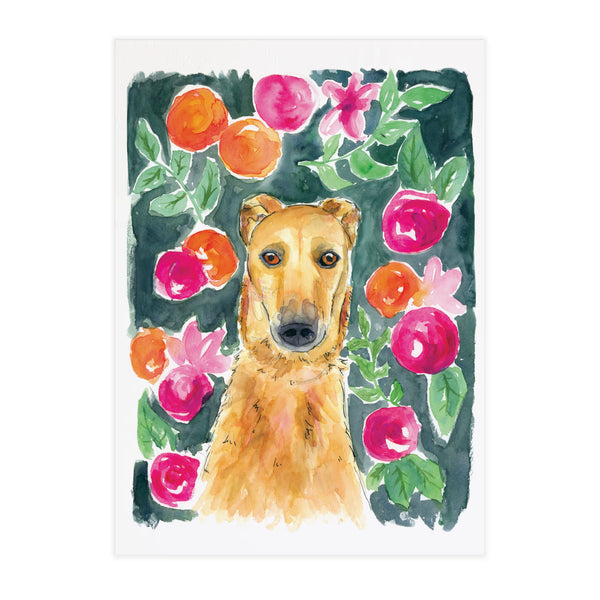 Whippet in the flowers - Raewyn Pope Illustration