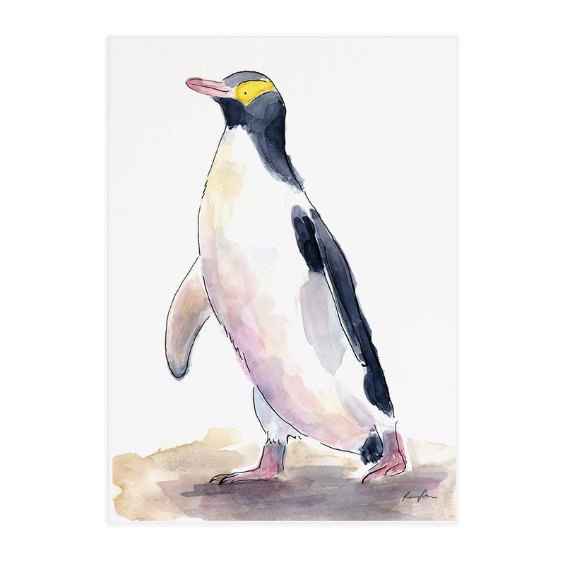 Yellow Eyed Penguin (Hoiho) - Raewyn Pope Illustration